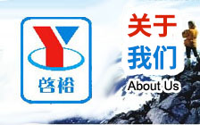 CD-3450 全自動泡罩包裝機